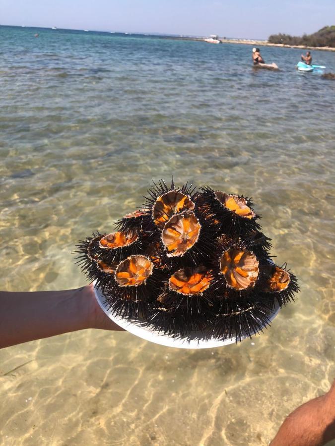 Salento Casa Vacanza Il Focolare Торкьяроло Экстерьер фото